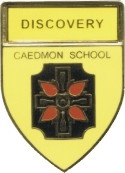 CAEDMON SCHOOL YELLOW