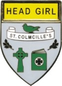 ST COLMCILLES SCHOOL