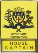 NOTRE DAME HIGH SCHOOL YELLOW