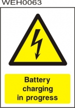 WEH0063 (see size options)