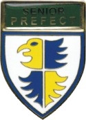 DOWN HIGH SCHOOL (BLUE SHIELD)