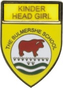 BULMERSHE SCHOOL YELLOW